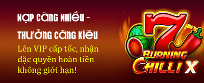 Online casino experience at 4466club